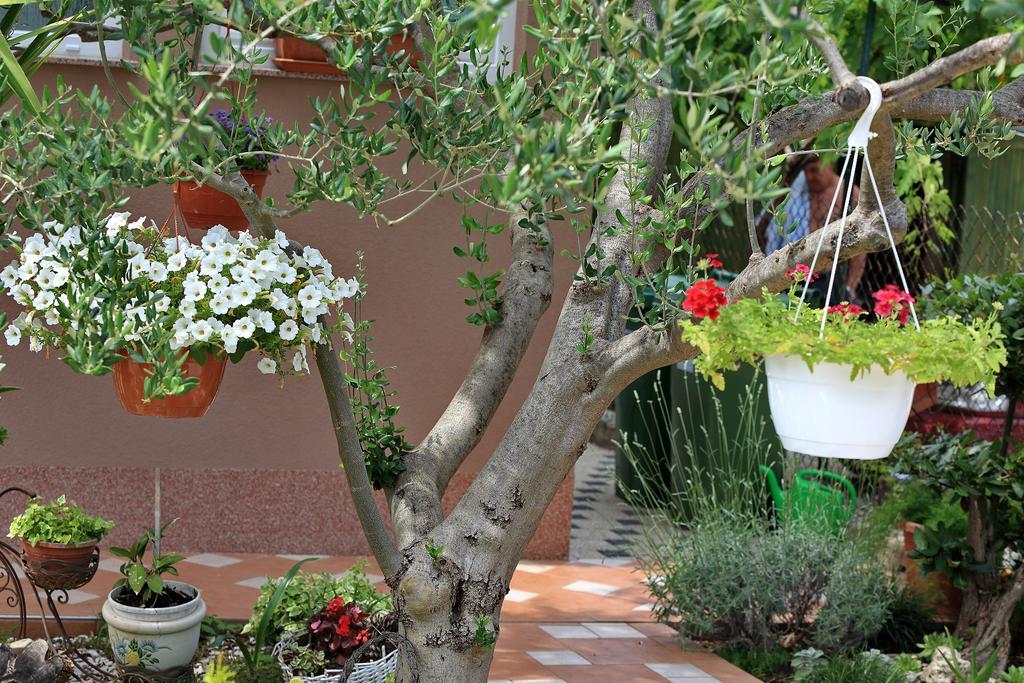Apartments Melita Bibinje Δωμάτιο φωτογραφία