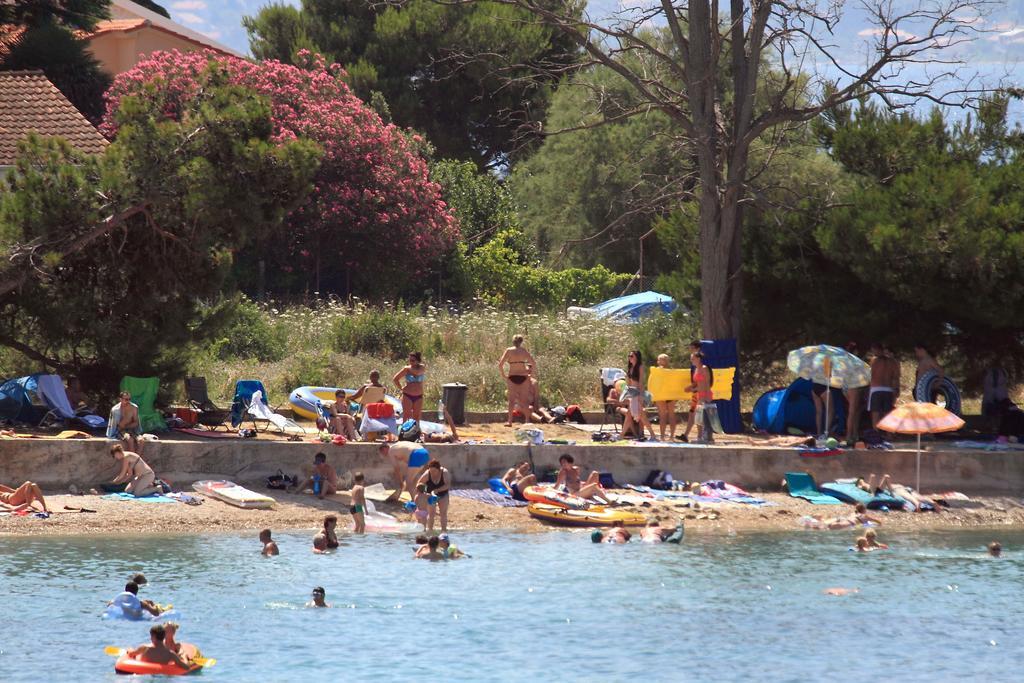 Apartments Melita Bibinje Εξωτερικό φωτογραφία